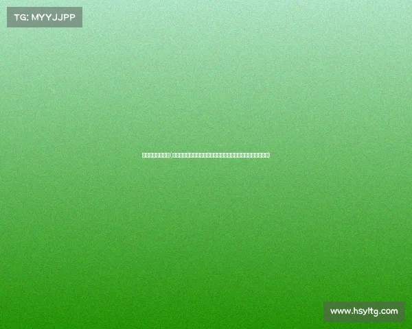 北斗户外赛事管理(北斗卫星定位技术驱动户外赛事智能化管理与风险防控平台构建)